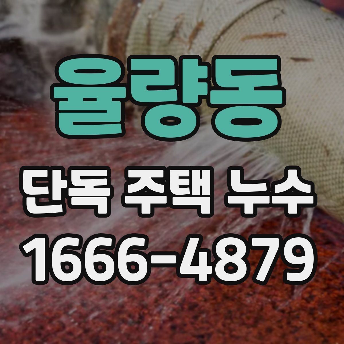 율량동 단독 주택 누수 관리 일정을 세우는 기준