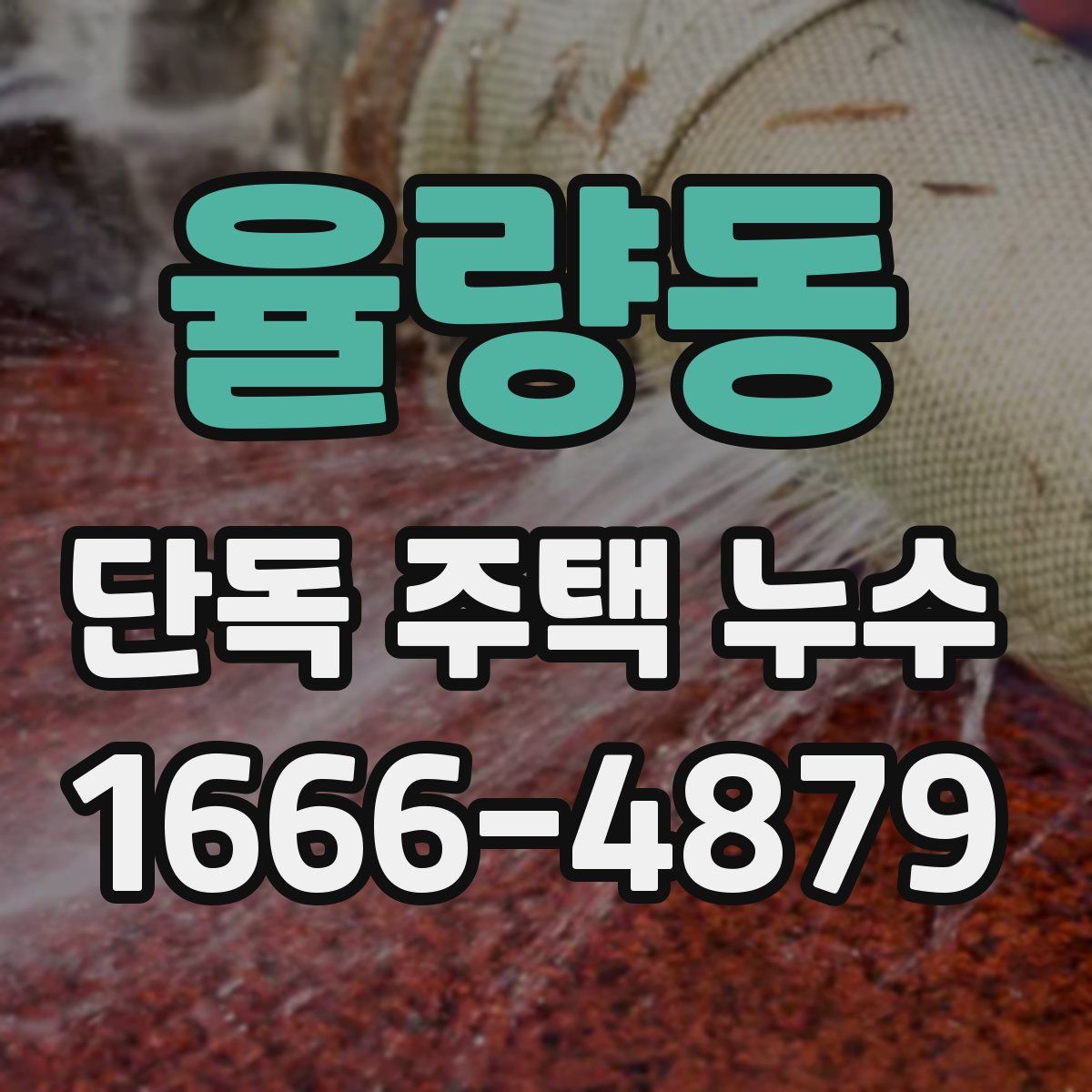 율량동 단독 주택 누수
