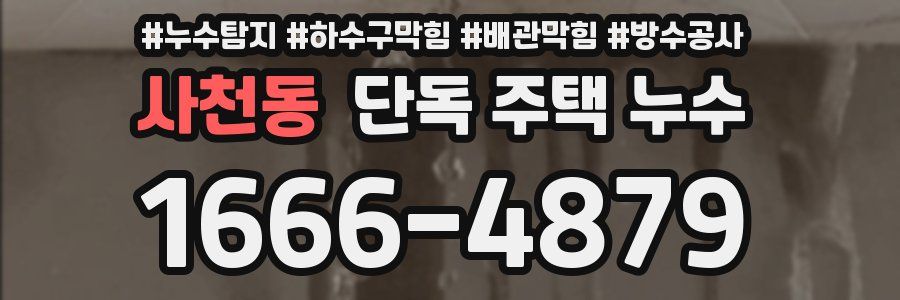 사천동 단독 주택 누수
