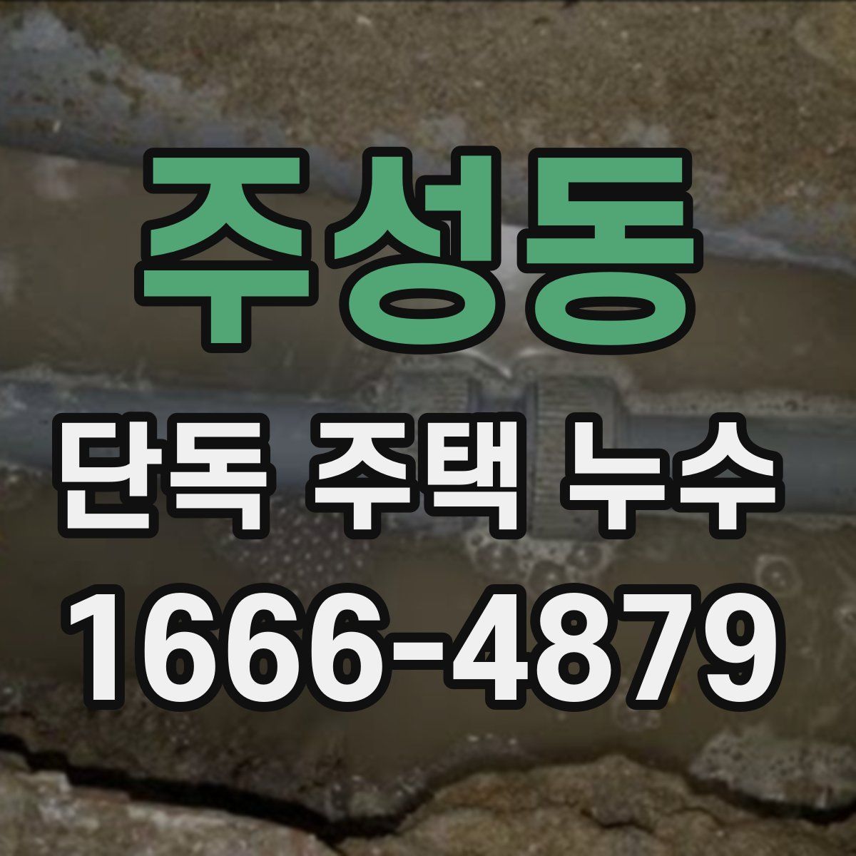 주성동 단독 주택 누수