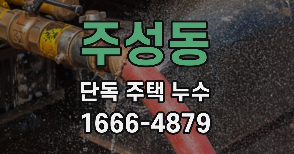 주성동 단독 주택 누수