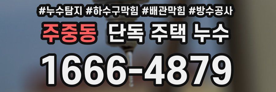 주중동 단독 주택 누수