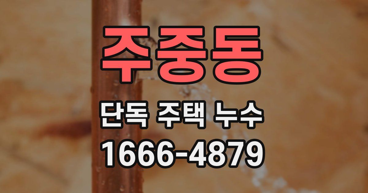 주중동 단독 주택 누수