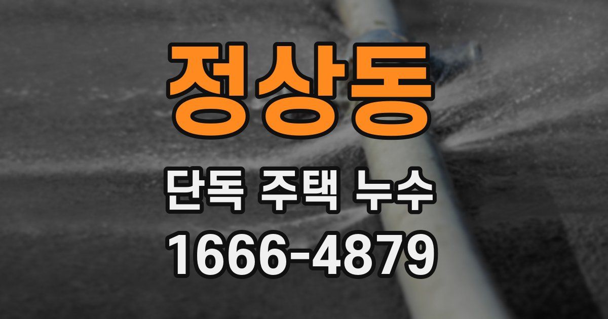 정상동 단독 주택 누수