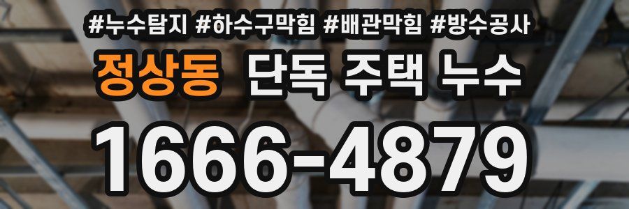 정상동 단독 주택 누수