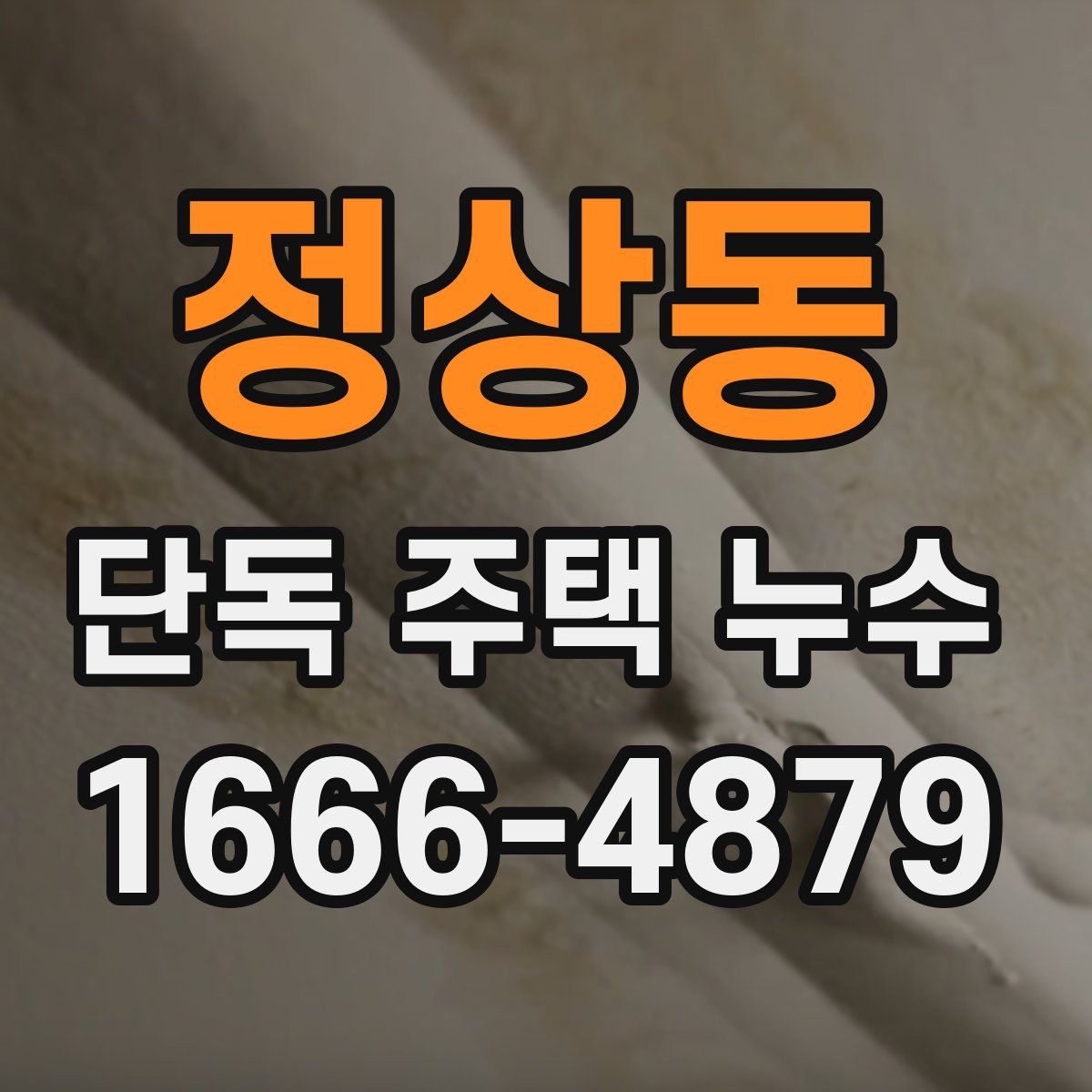 정상동 단독 주택 누수