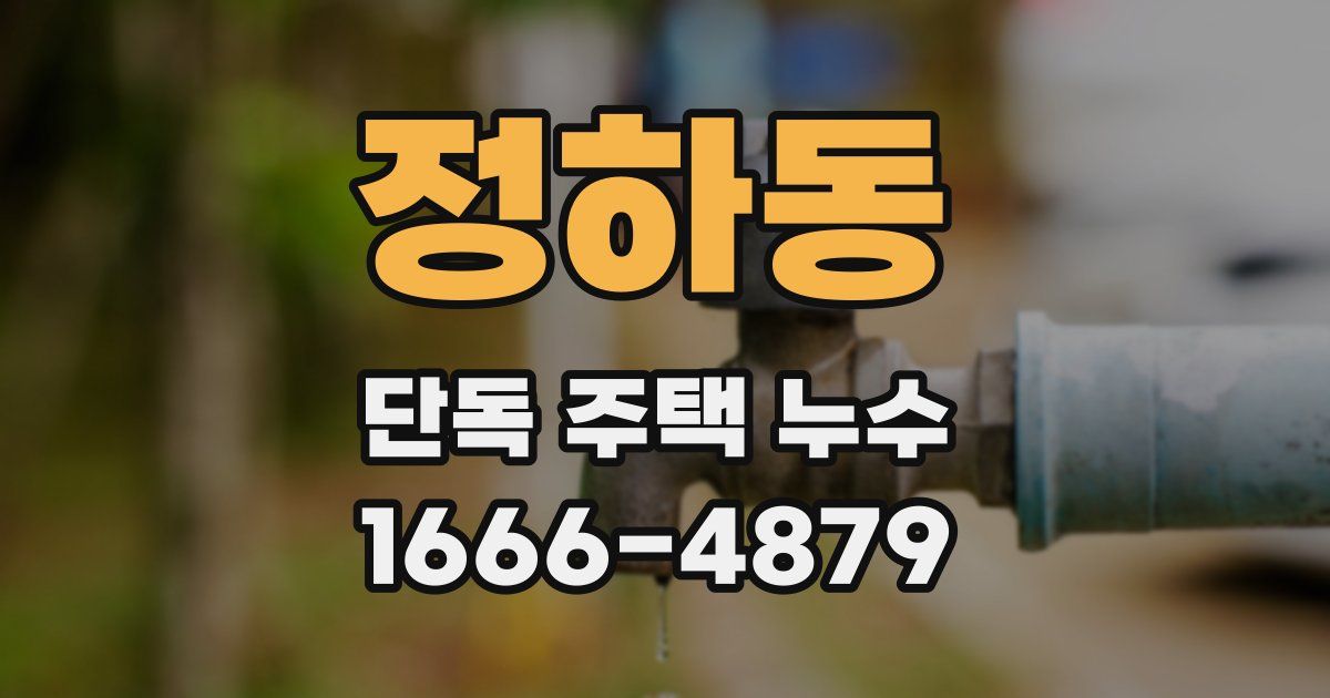 정하동 단독 주택 누수