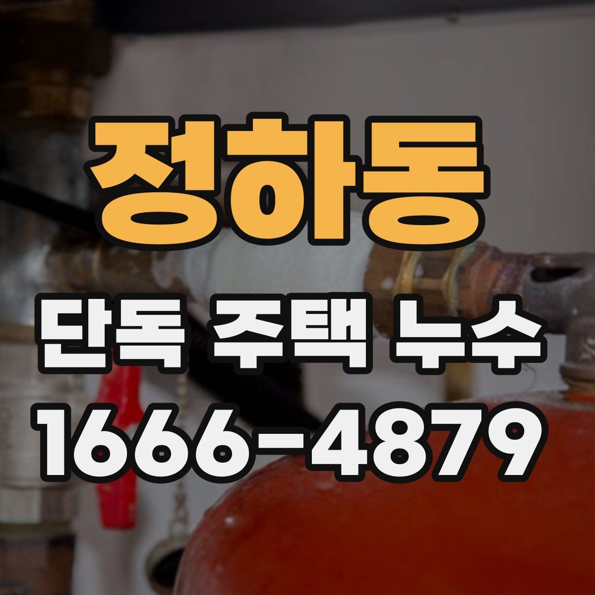 정하동 단독 주택 누수