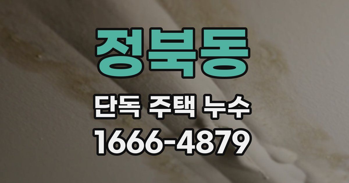 정북동 단독 주택 누수