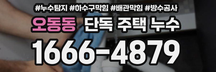 오동동 단독 주택 누수