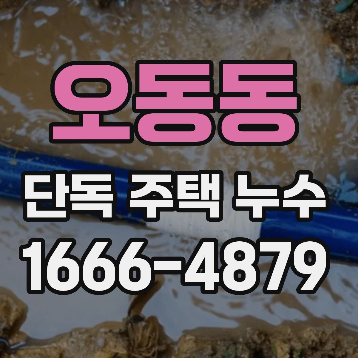 오동동 단독 주택 누수