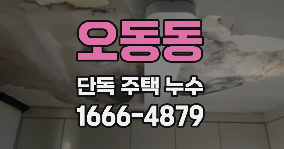 오동동 단독 주택 누수