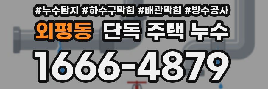 외평동 단독 주택 누수