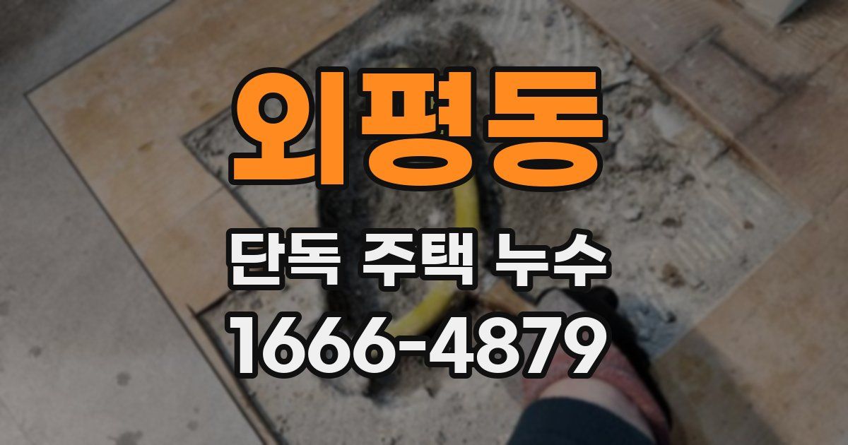 외평동 단독 주택 누수