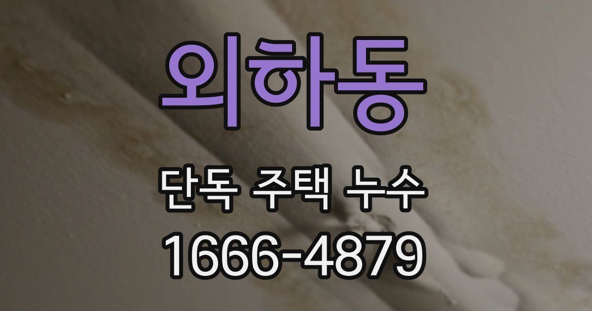 외하동 단독 주택 누수