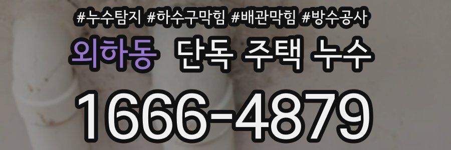 외하동 단독 주택 누수