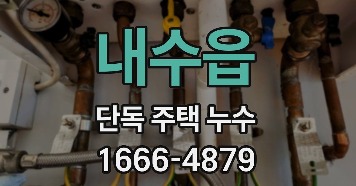 내수읍 단독 주택 누수