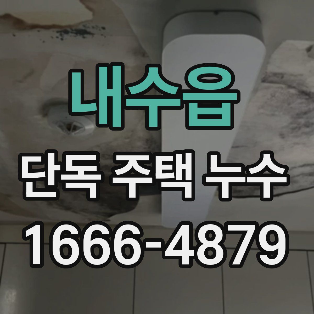 내수읍 단독 주택 누수