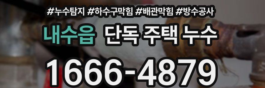 내수읍 단독 주택 누수