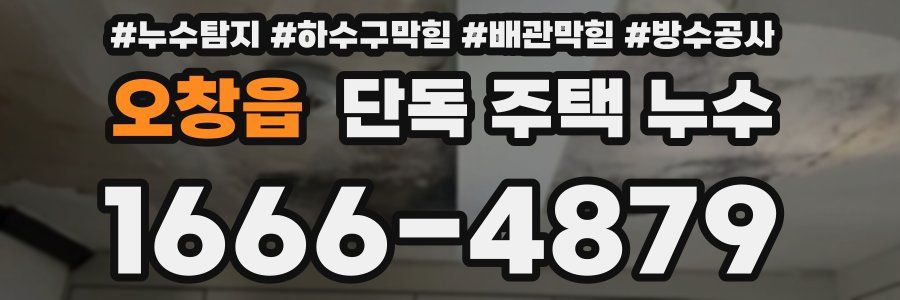오창읍 단독 주택 누수