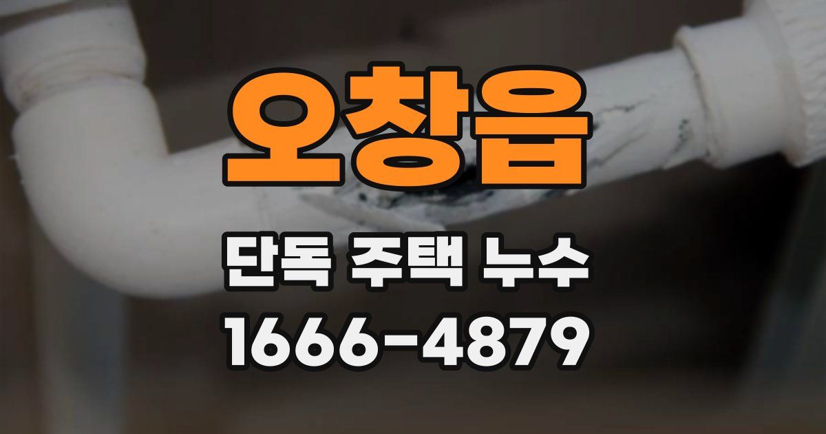 오창읍 단독 주택 누수