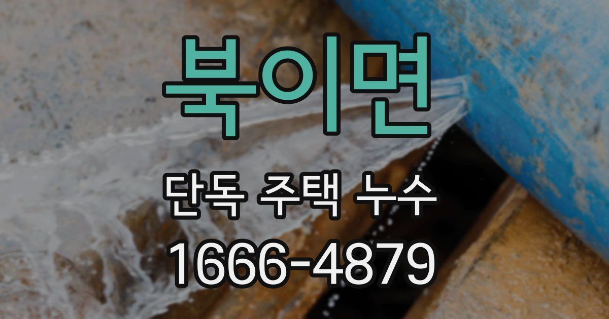 북이면 단독 주택 누수