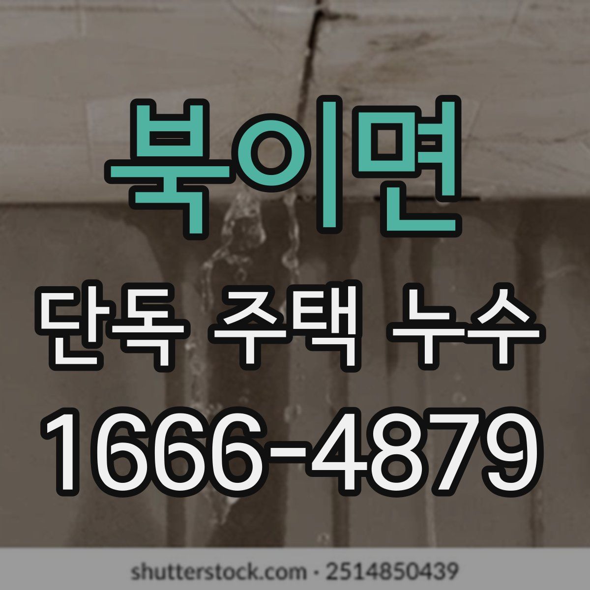 북이면 단독 주택 누수