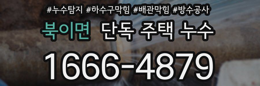 북이면 단독 주택 누수