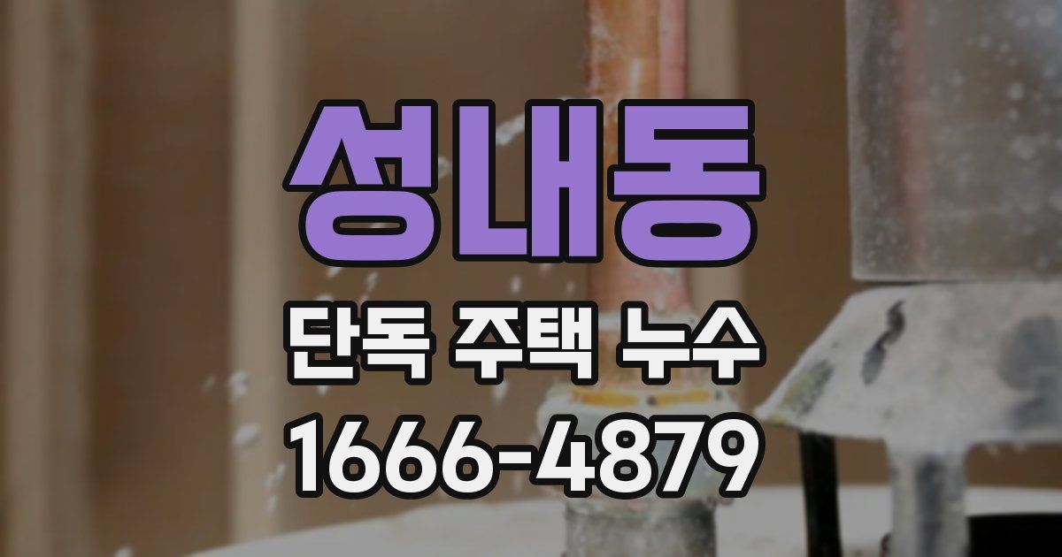 성내동 단독 주택 누수