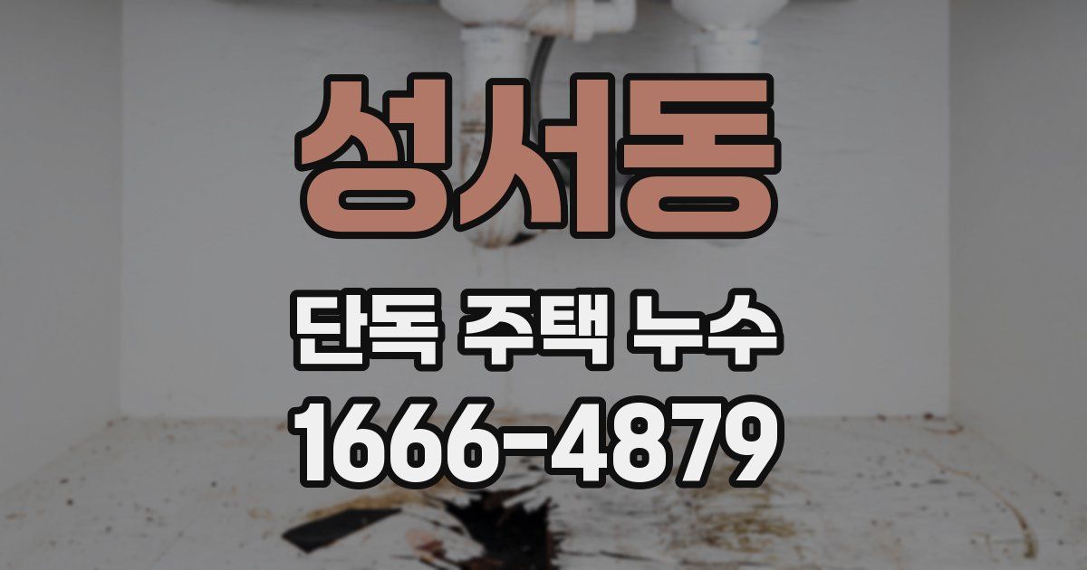 성서동 단독 주택 누수