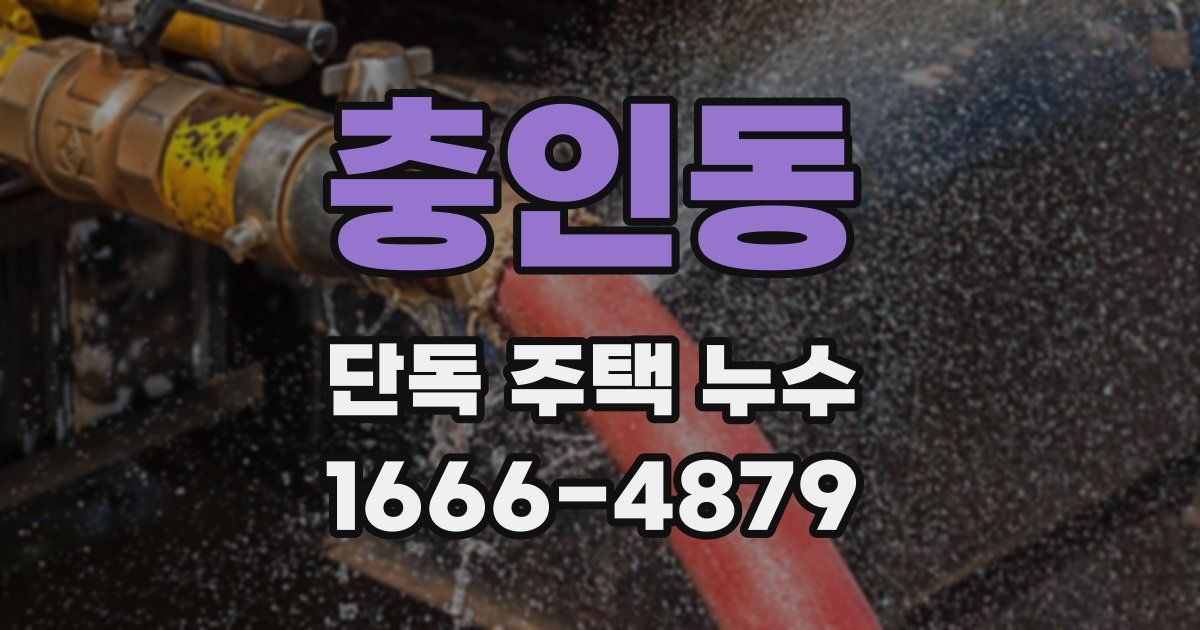 충인동 단독 주택 누수