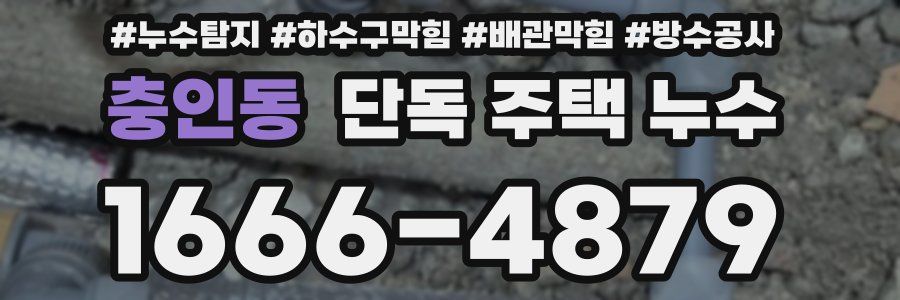 충인동 단독 주택 누수