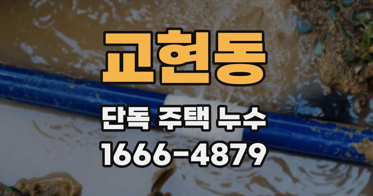 교현동 단독 주택 누수