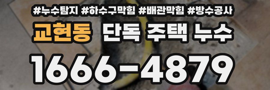 교현동 단독 주택 누수