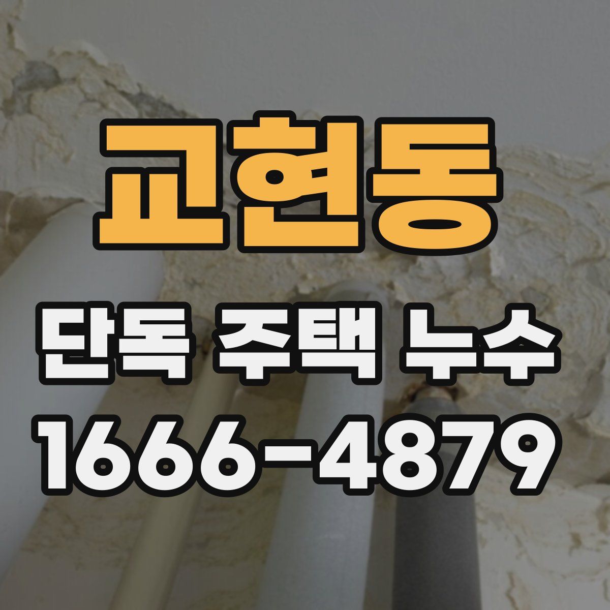 교현동 단독 주택 누수