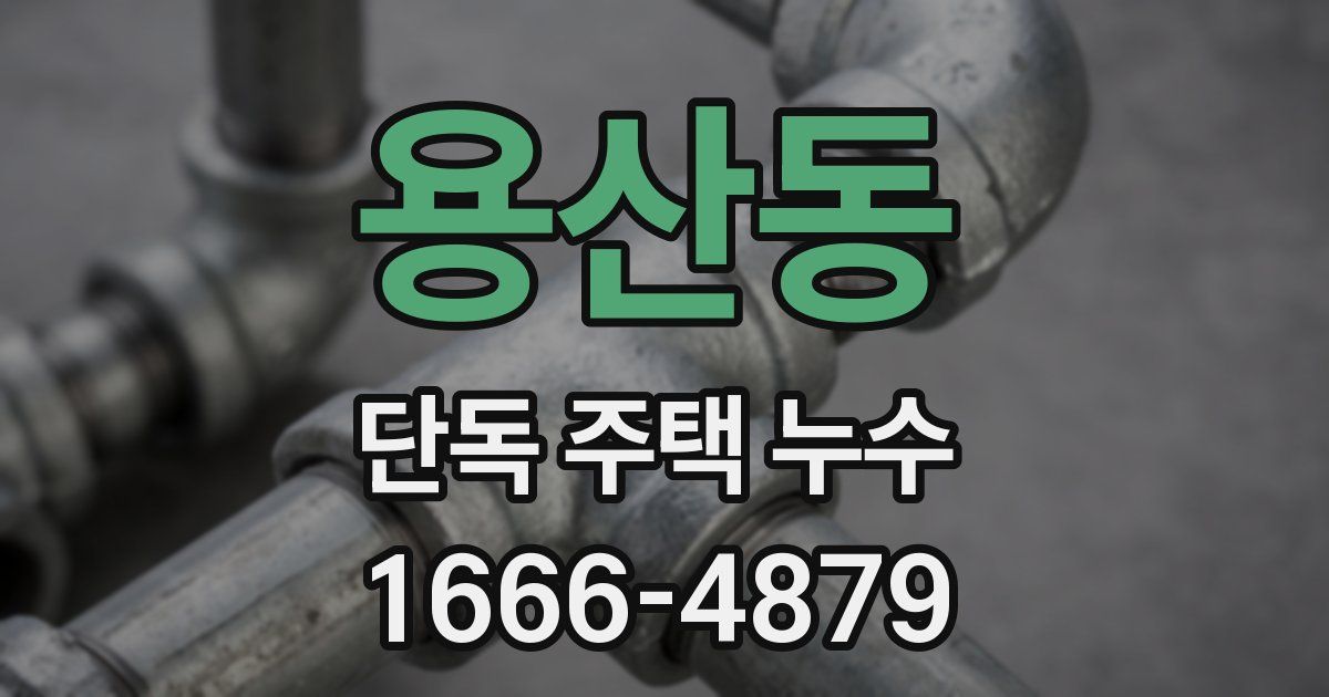 용산동 단독 주택 누수
