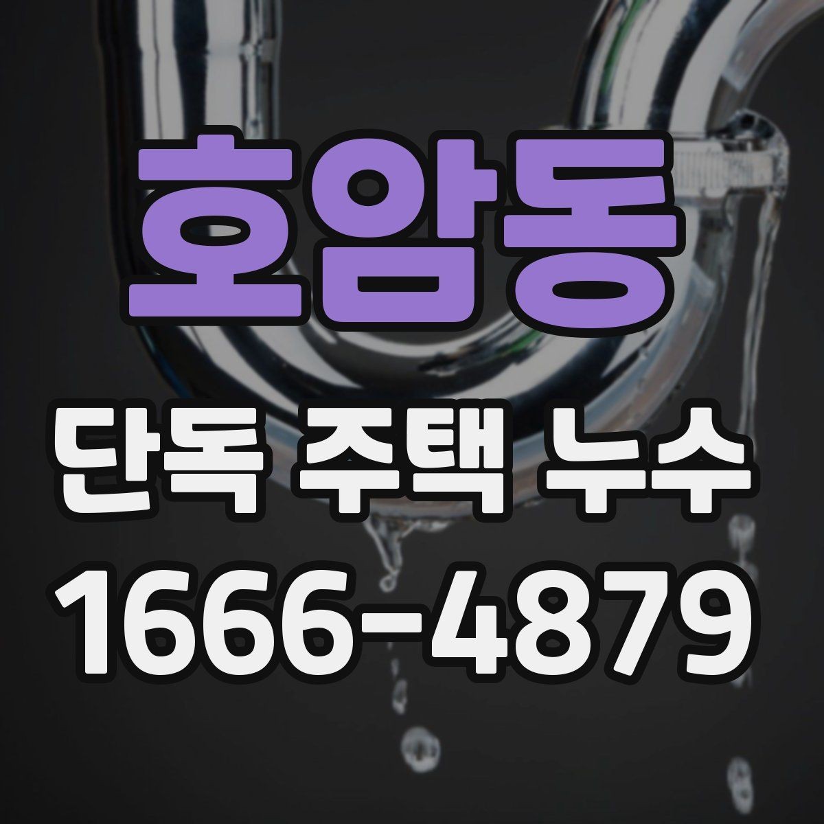 호암동 단독 주택 누수 초기 증상과 대처 방법