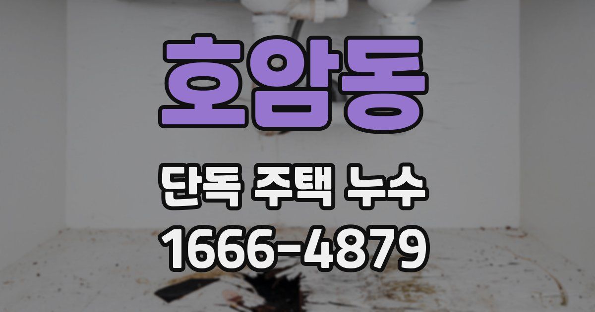 호암동 단독 주택 누수