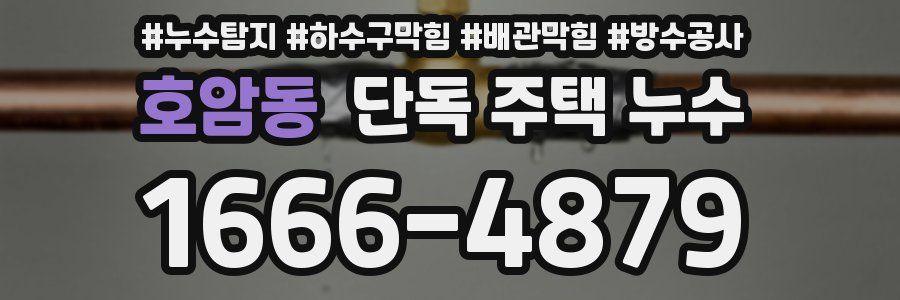 호암동 단독 주택 누수