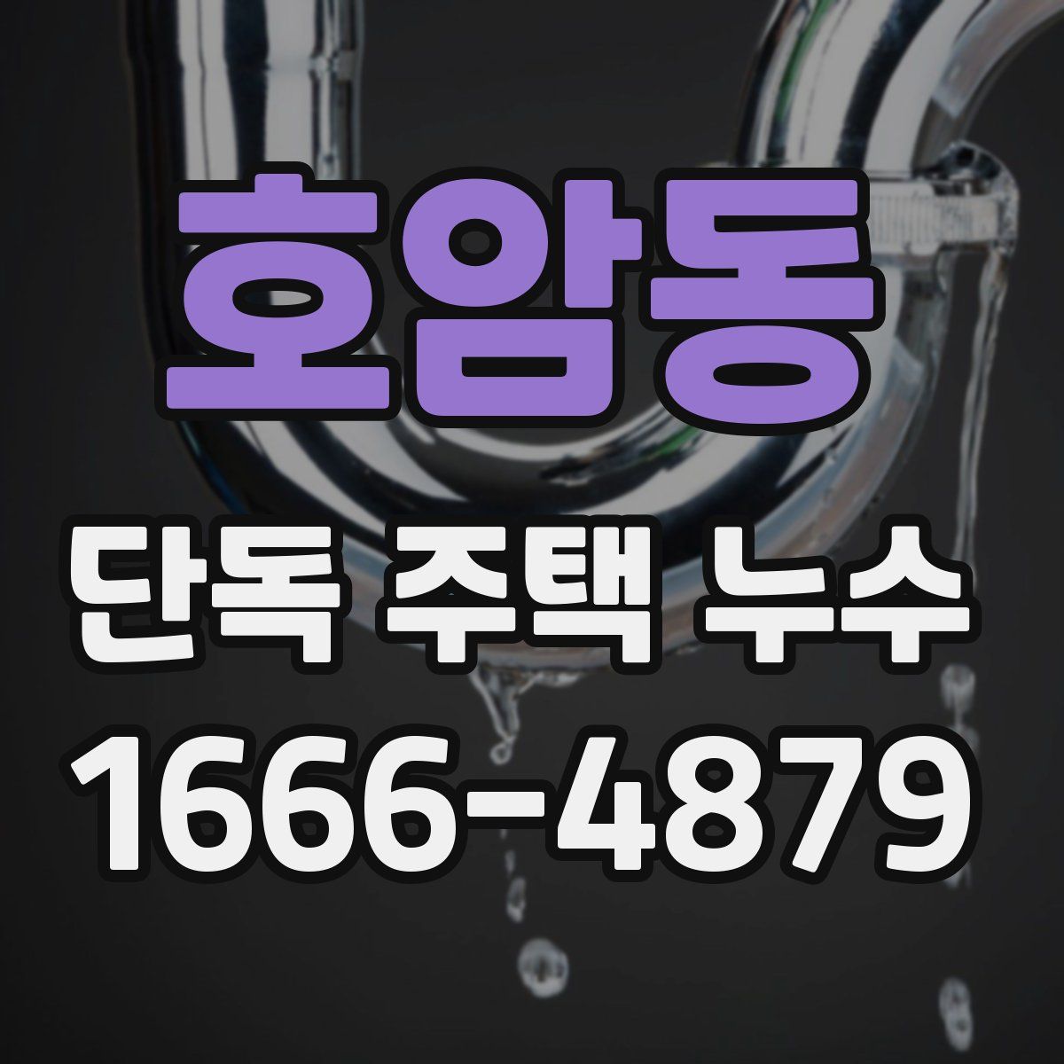 호암동 단독 주택 누수