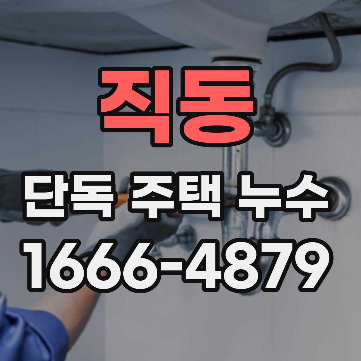 직동 단독 주택 누수