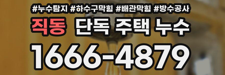 직동 단독 주택 누수