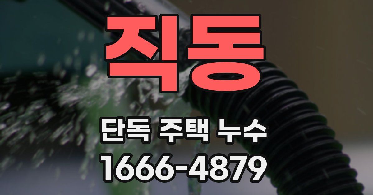 직동 단독 주택 누수