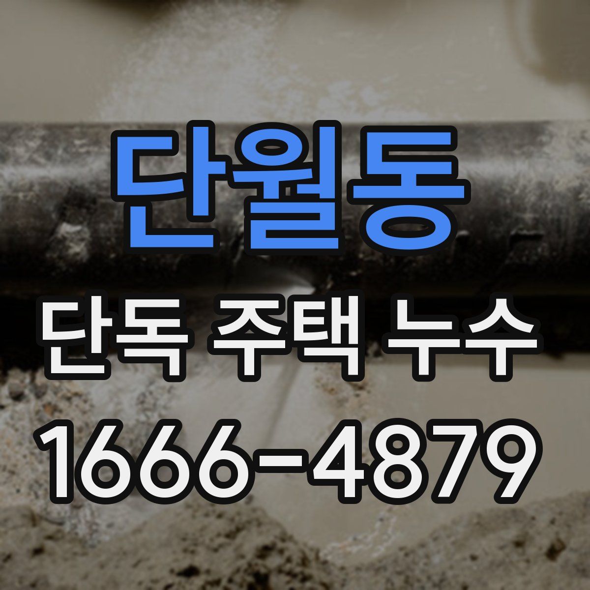 단월동 단독 주택 누수