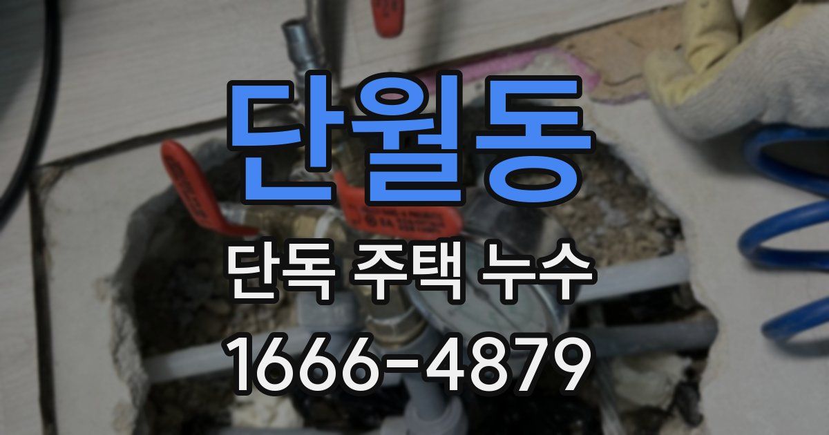 단월동 단독 주택 누수