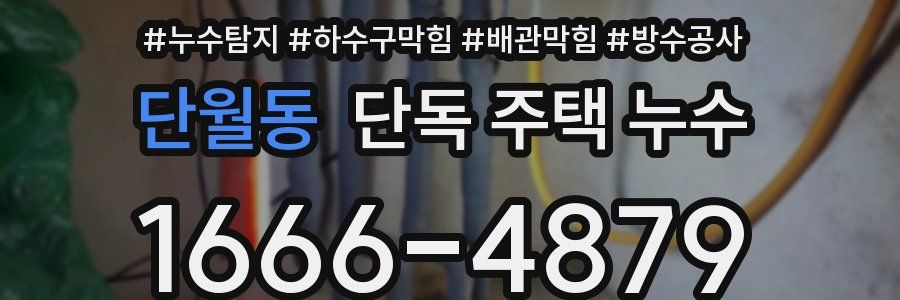 단월동 단독 주택 누수