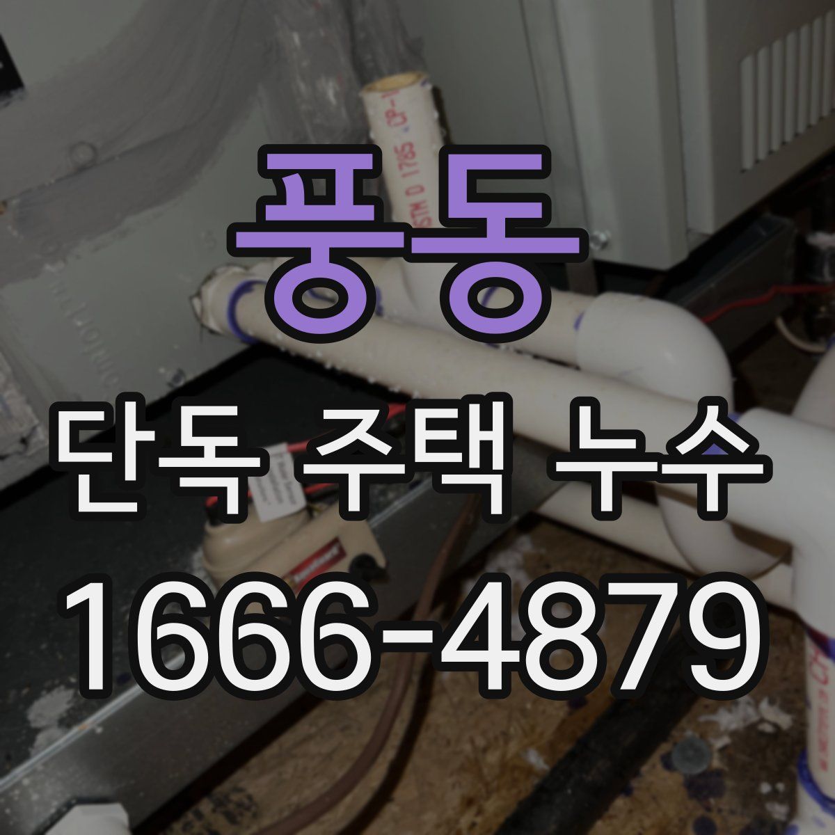 풍동 단독 주택 누수