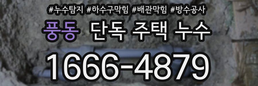 풍동 단독 주택 누수