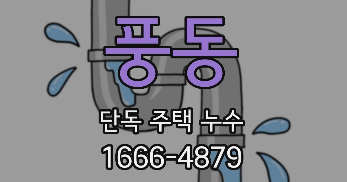 풍동 단독 주택 누수