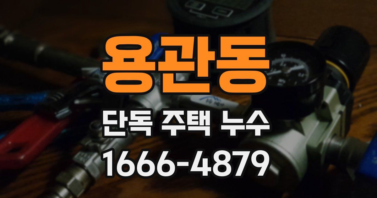 용관동 단독 주택 누수